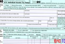 2020 - 2021 Form 1040 Individual Income Tax Return