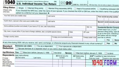 2020 - 2021 Form 1040 Individual Income Tax Return